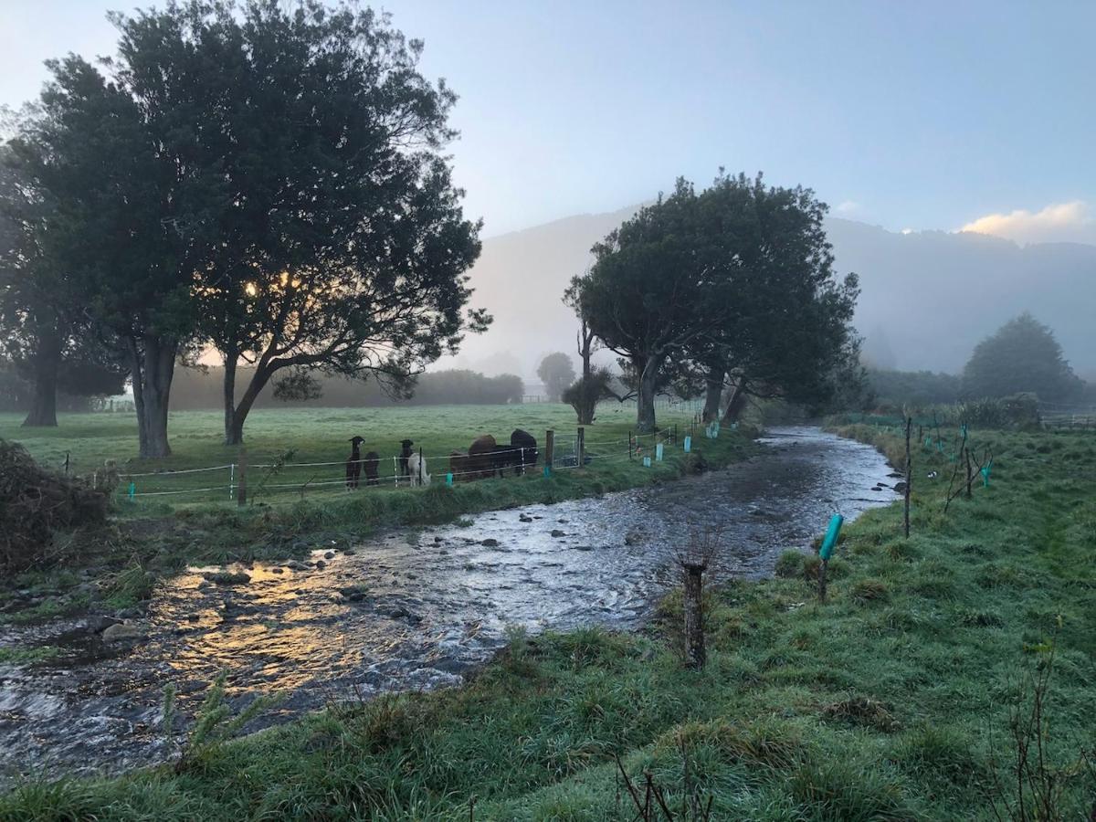Narrow Neck Creek Farmstay And B&B Upper Hutt Exteriör bild